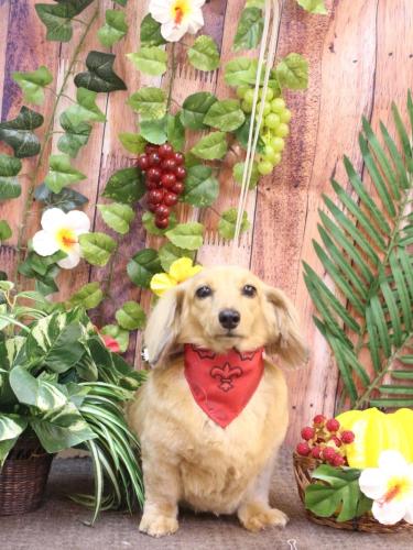 20230806モカちゃん